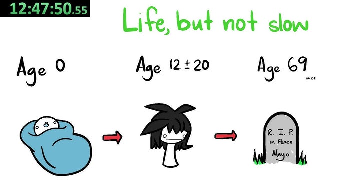 Life Speedrun